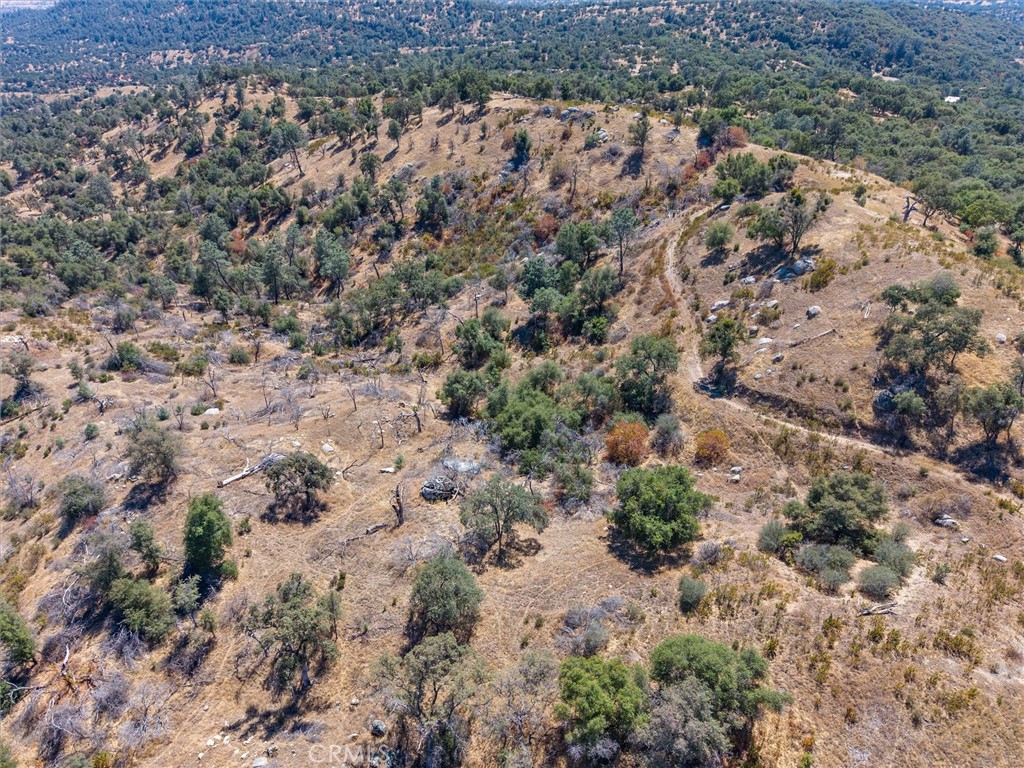 3831 Broncho Hollow Property Photo 26