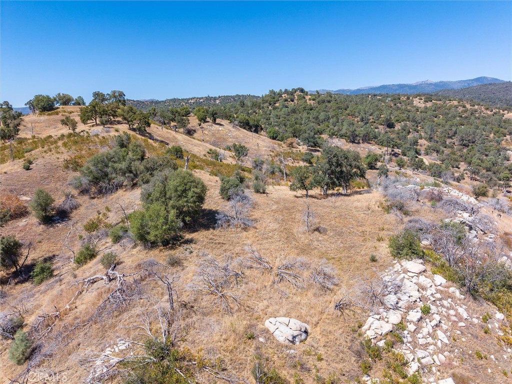 3831 Broncho Hollow Property Photo 27