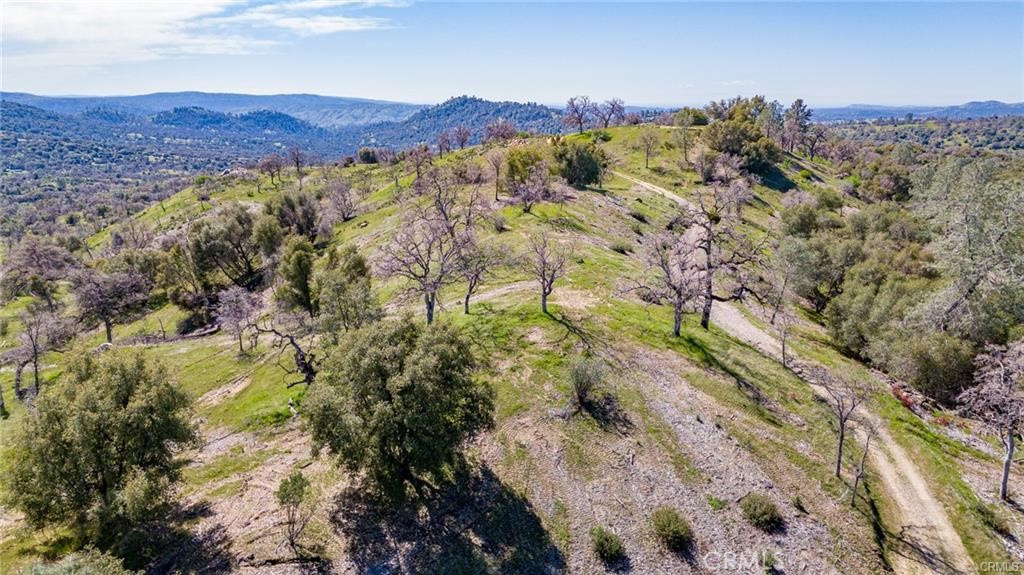 3831 Broncho Hollow Property Photo 31