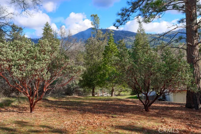 5909 Evergreen Property Photo 42