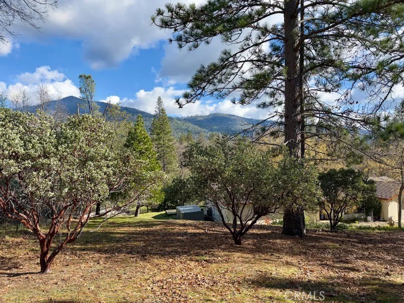 5909 Evergreen Property Photo 43