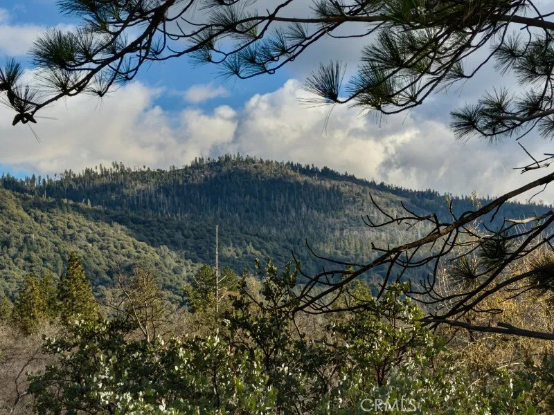 5909 Evergreen Property Photo 44