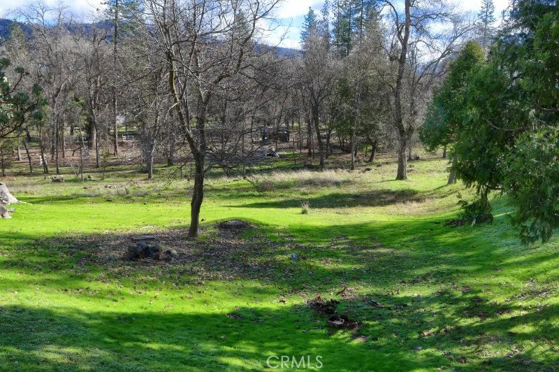5909 Evergreen Property Photo 45