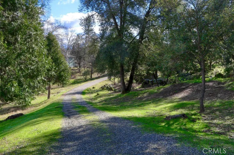 5909 Evergreen Property Photo 47