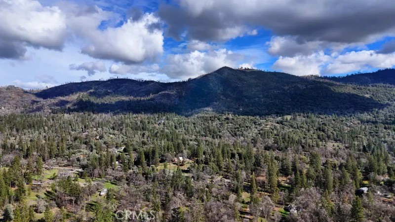 5909 Evergreen Property Photo 52
