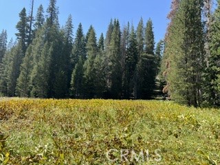 0 Hlk135-cabin Heart Meadow Property Photo 8
