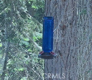 0 Hlk135-cabin Heart Meadow Property Photo 26