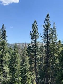 0 Hlk135-cabin Heart Meadow Property Photo 29