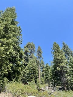 0 Hlk135-cabin Heart Meadow Property Photo 31