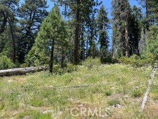 0 Hlk135-cabin Heart Meadow Property Photo 32
