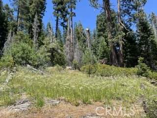 0 Hlk135-cabin Heart Meadow Property Photo 33