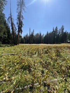 0 Hlk135-cabin Heart Meadow Property Photo 34