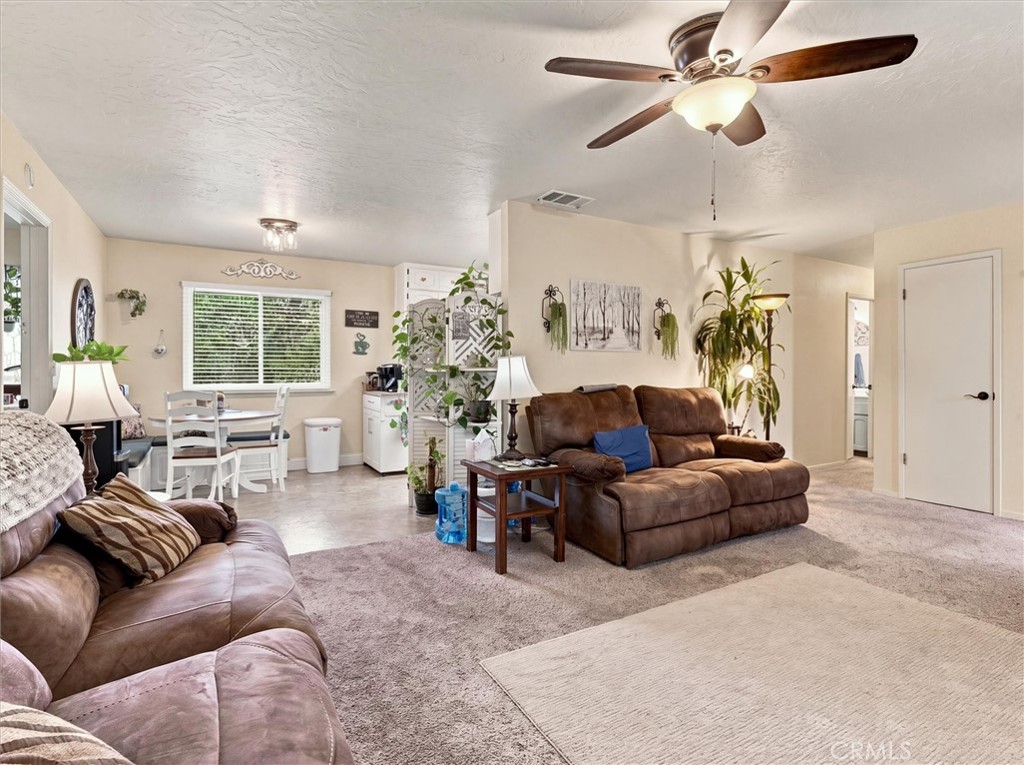 30100 Stetson Property Photo 11