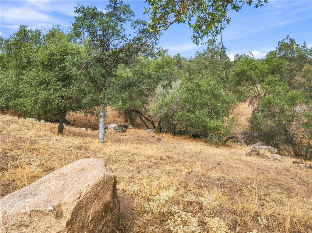 30100 Stetson Property Photo 37