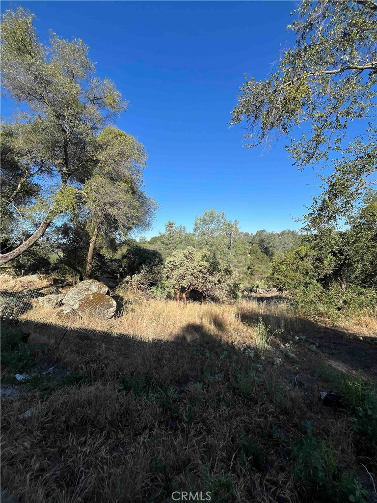 45990 Hawk Lane Property Photo 4