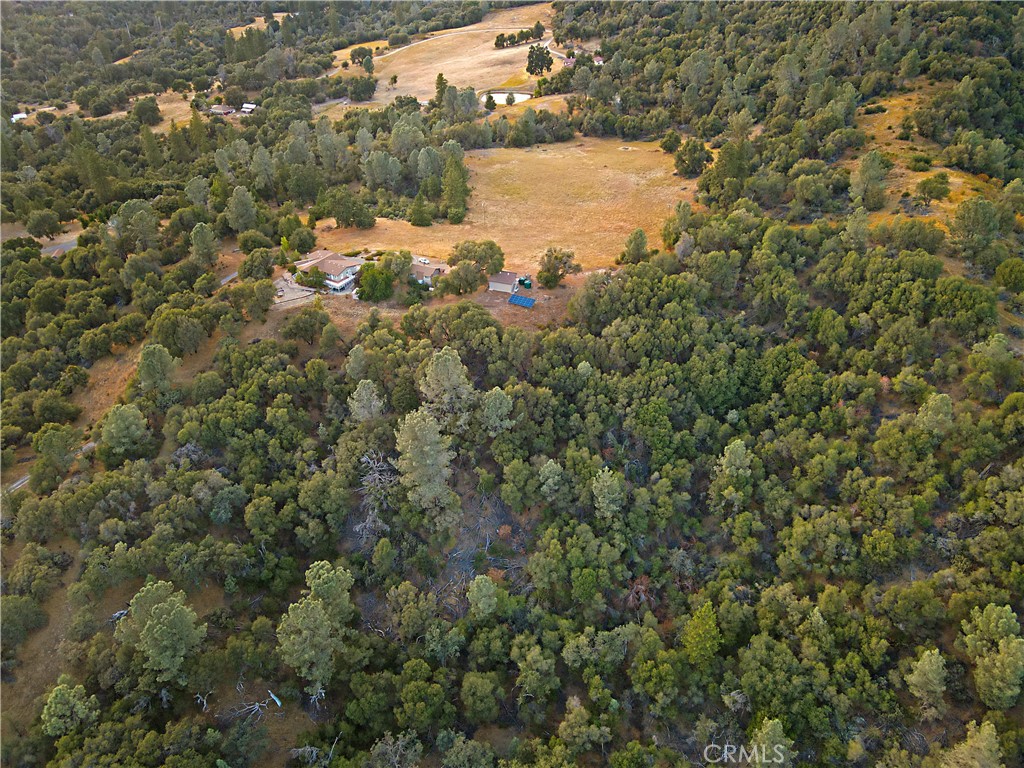 2160 State Highway 49 S Property Photo 46