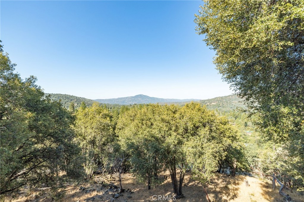 51300 Buckskin Property Photo 22