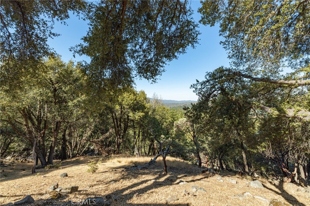 51300 Buckskin Property Photo 27