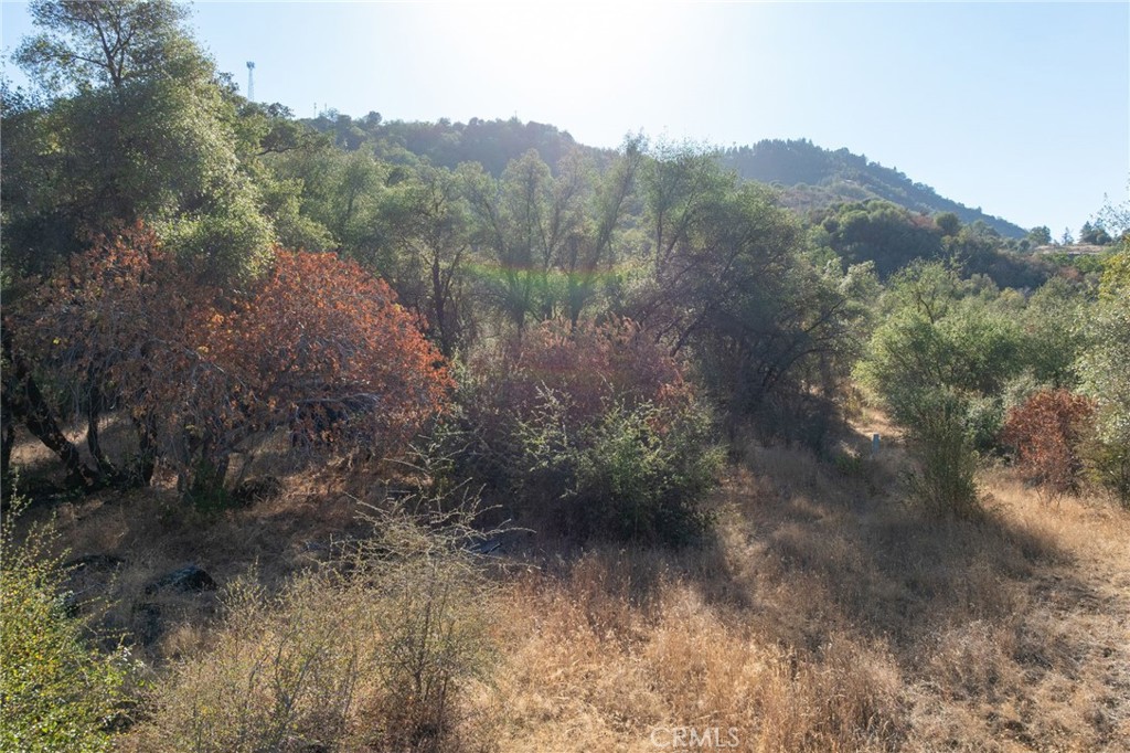 0 Hwy 41 Property Photo 24