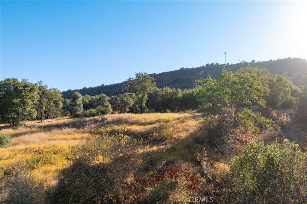 0 Hwy 41 Property Photo 38