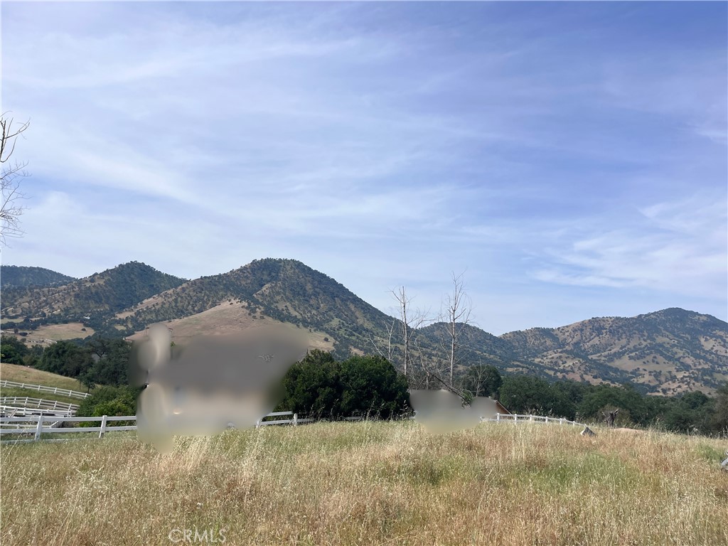 0 Lupine Drive Property Photo 14