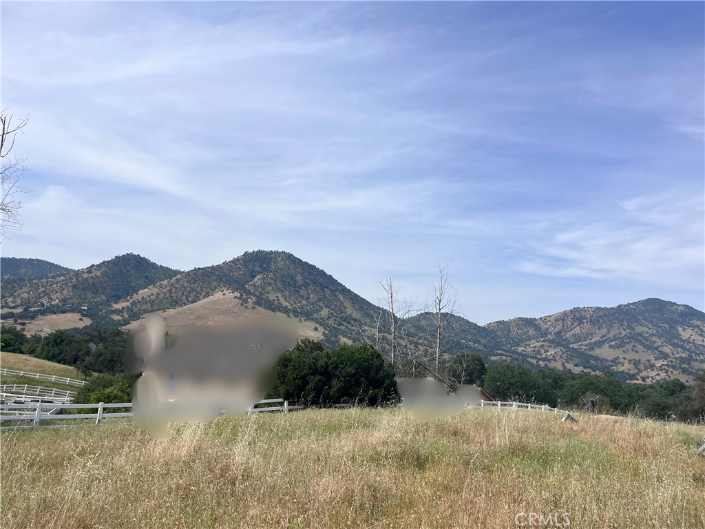 0 Lupine Drive Property Photo 14