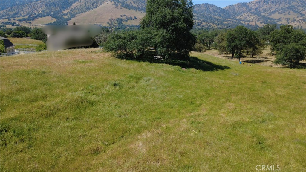 0 Lupine Drive Property Photo 15
