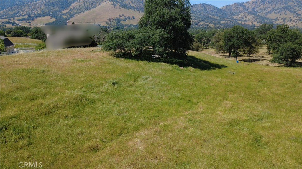 0 Lupine Drive Property Photo 15