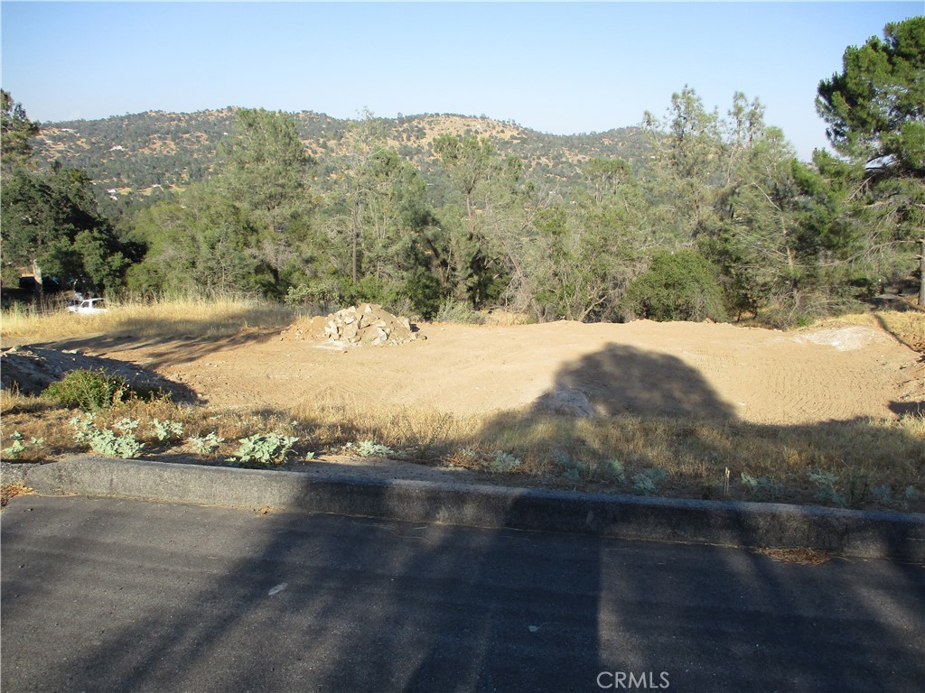 42112 Colt Way Property Photo 1