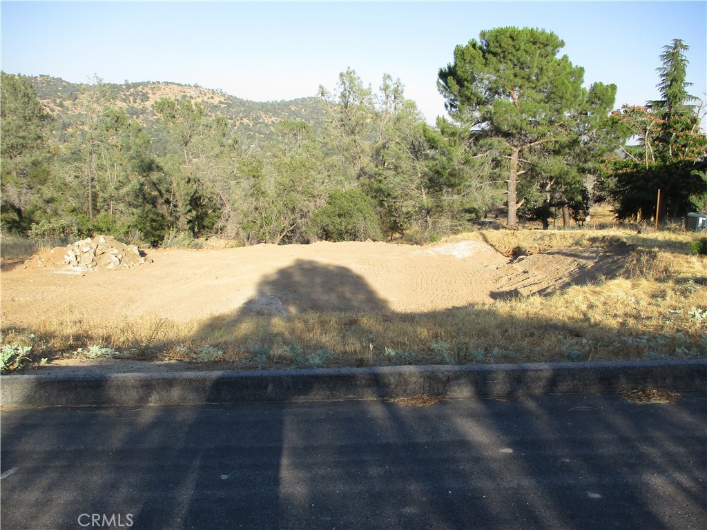 42112 Colt Way Property Photo 2