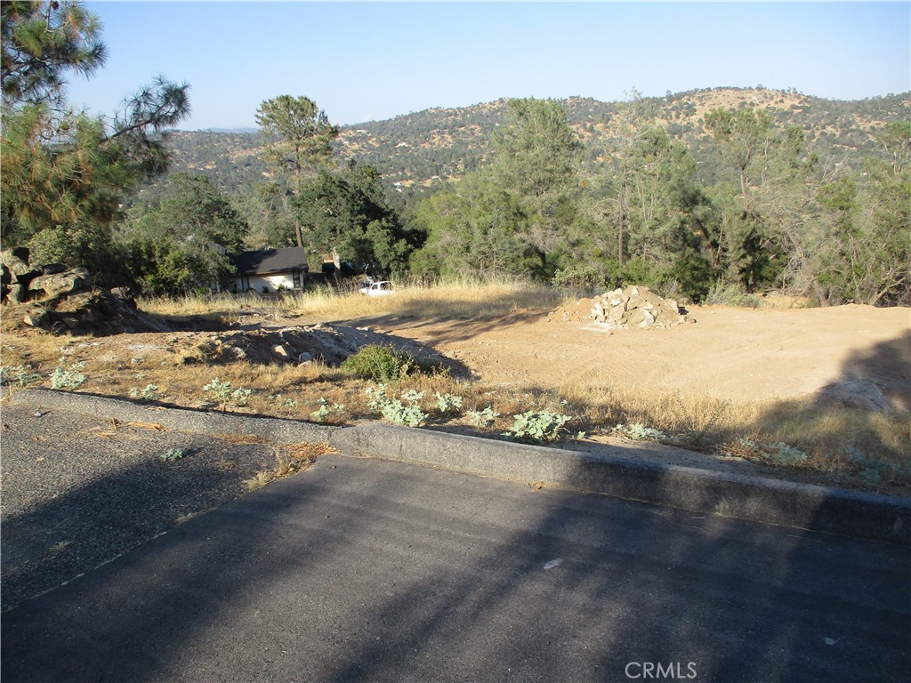 42112 Colt Way Property Photo 3