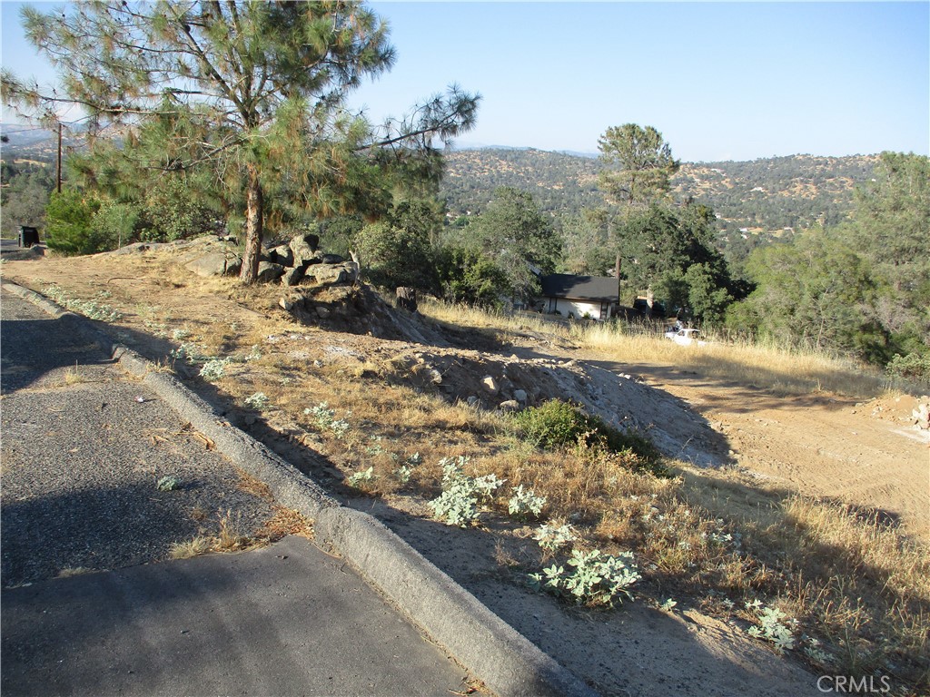 42112 Colt Way Property Photo 4