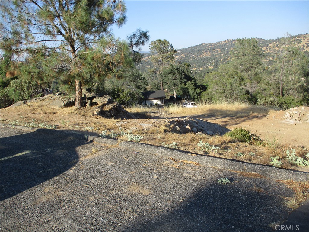 42112 Colt Way Property Photo 5
