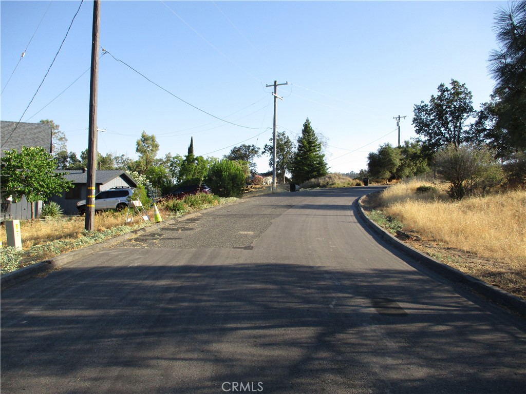 42112 Colt Way Property Photo 6