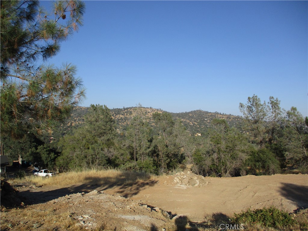 42112 Colt Way Property Photo 8