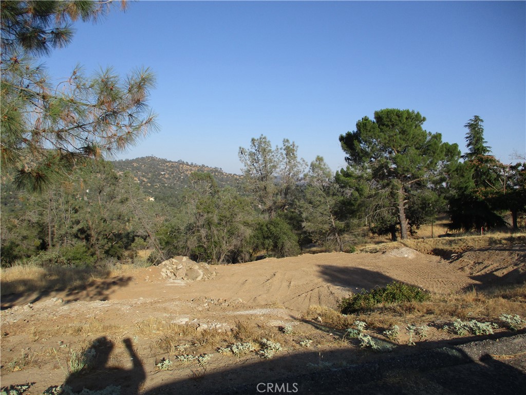 42112 Colt Way Property Photo 9