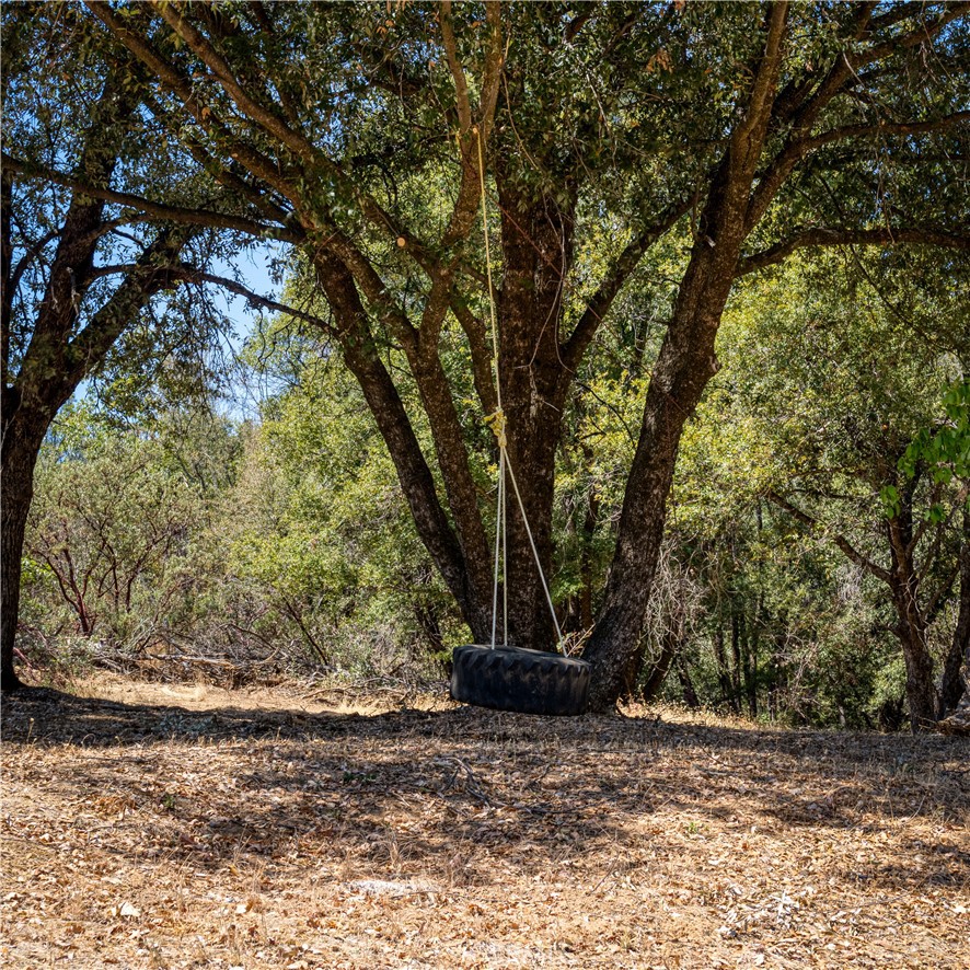 43696 Whispering Pines Drive Property Photo 20