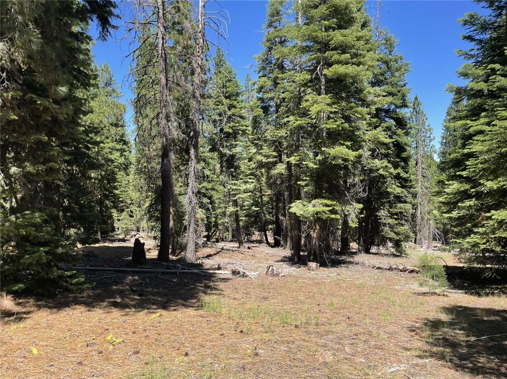 0 Range Road Property Photo 1