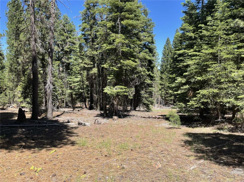 0 Range Road Property Photo 3