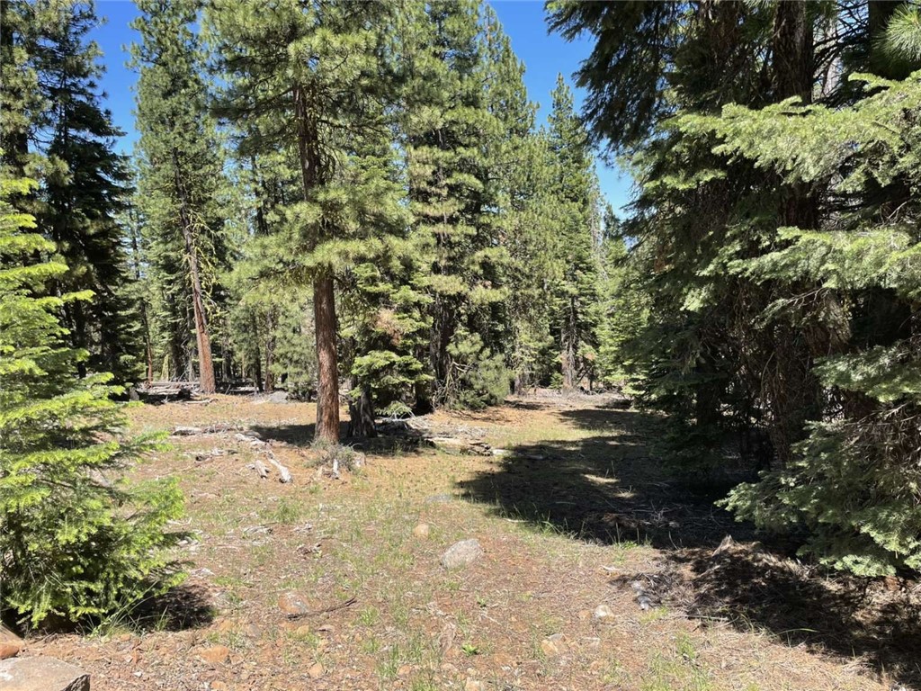 0 Range Road Property Photo 4