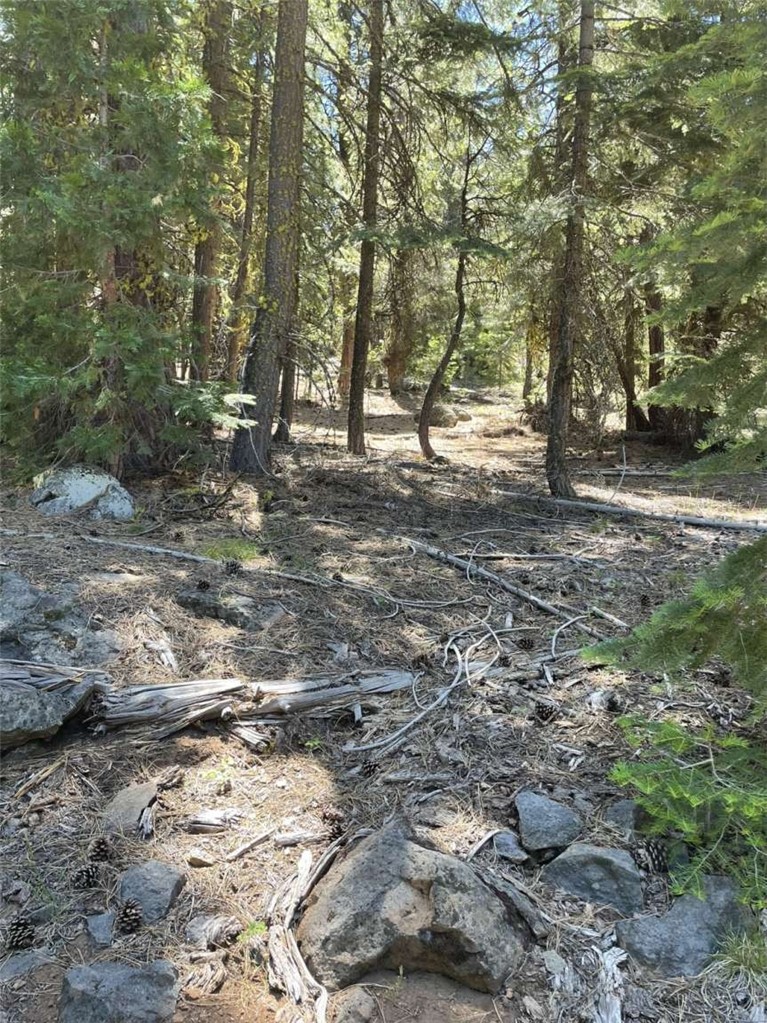 0 Range Road Property Photo 7
