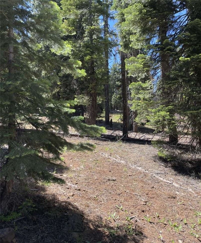 0 Range Road Property Photo 8