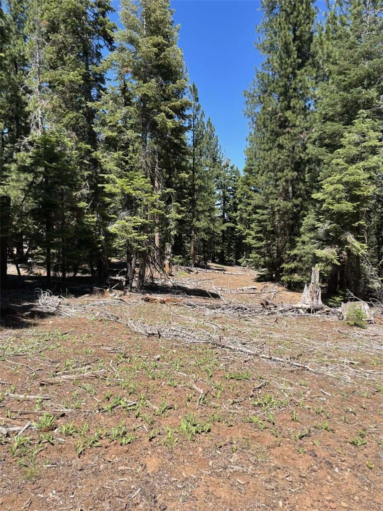 0 Range Road Property Photo 10