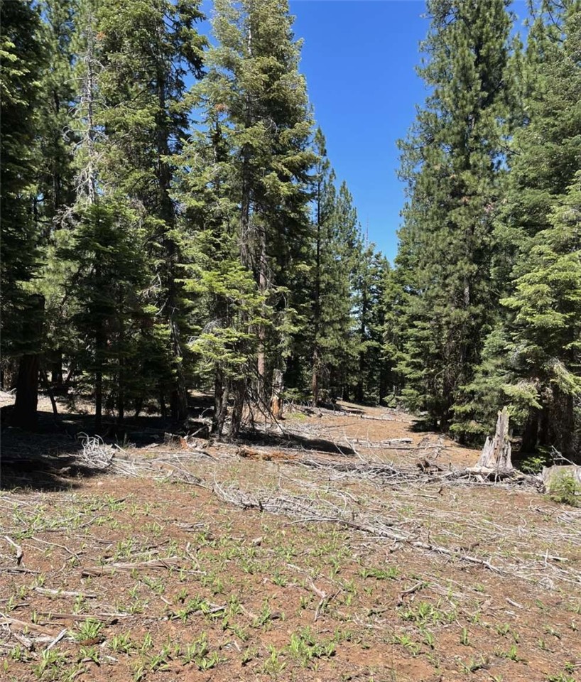 0 Range Road Property Photo 11
