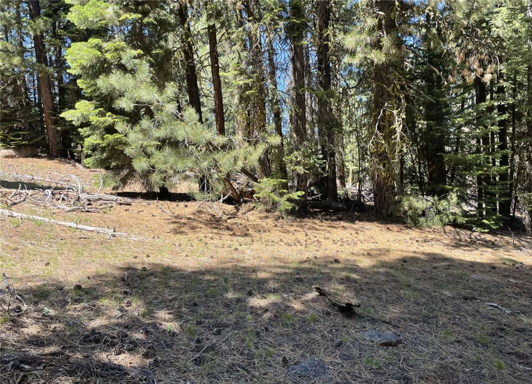 0 Range Road Property Photo 14