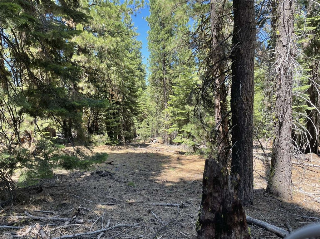 0 Range Road Property Photo 17