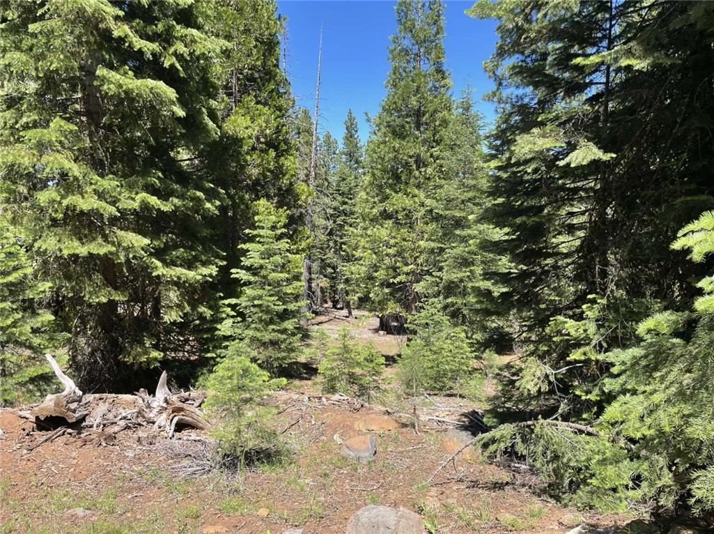 0 Range Road Property Photo 18