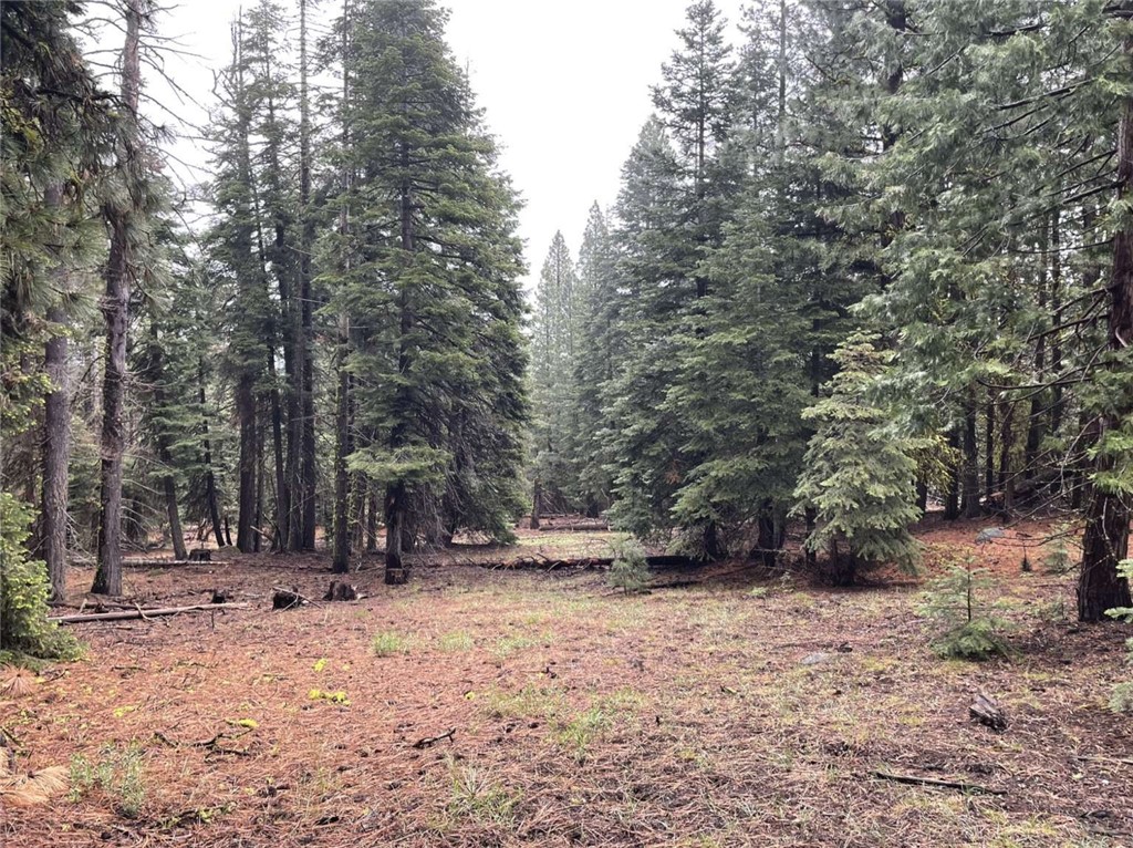 0 Range Road Property Photo 20