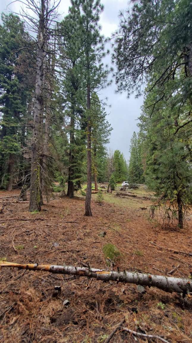 0 Range Road Property Photo 28