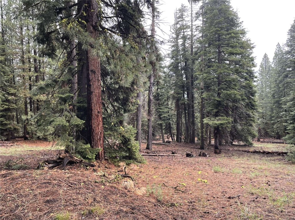 0 Range Road Property Photo 30